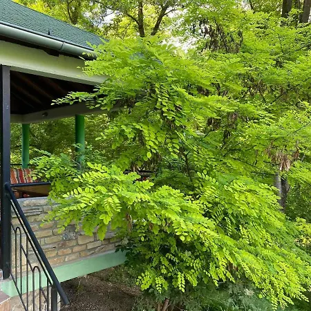 Apartment Zelena Kuca Borkovac *